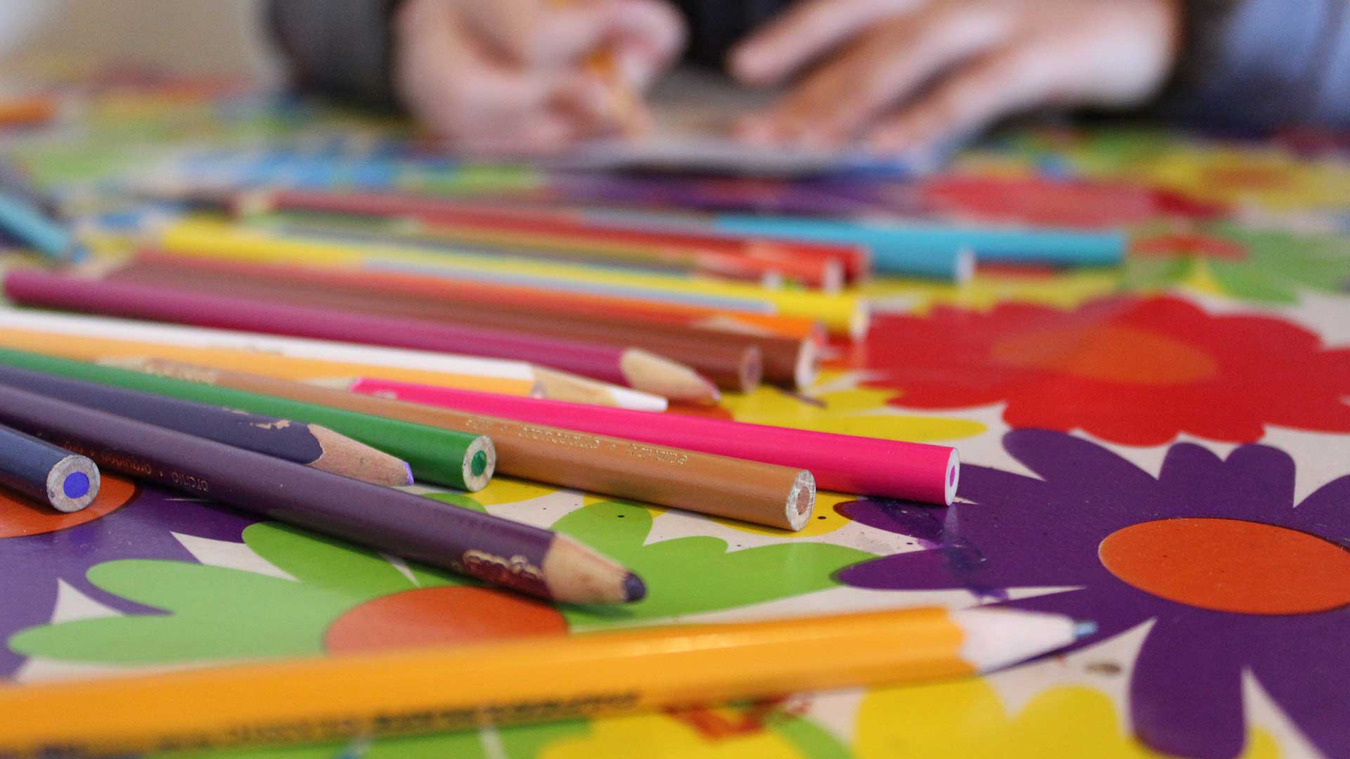 Pencil crayons close up